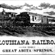 New Orleans Times-Picayune